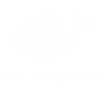 The Cartzaar